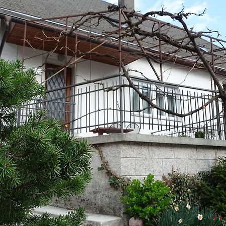 Apartments Bovec Dana Exterior photo